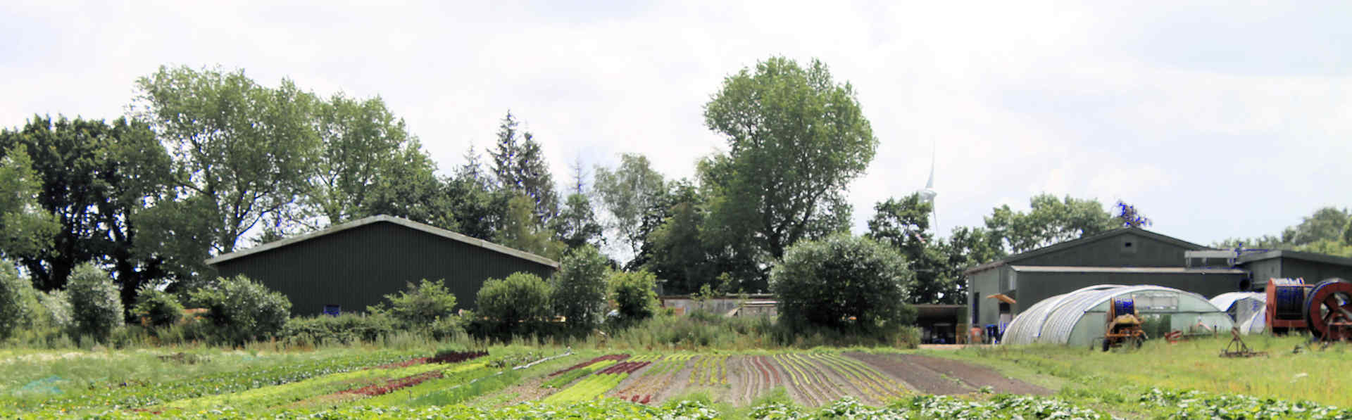 Söths Biokiste: der Hof